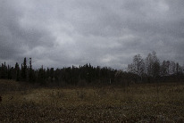 IMG_ (36)